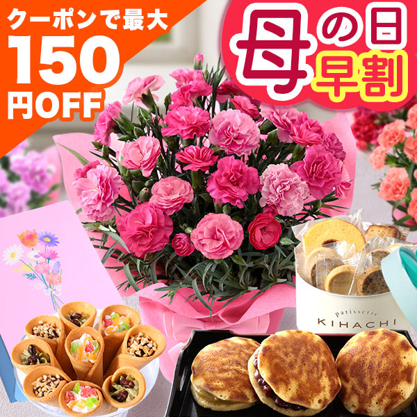 BunBun!Beeのカーネーション鉢＆スイーツ、送料無料で喜ばれる母の日