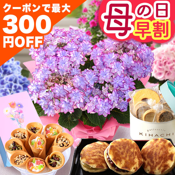 母の日ギフト2026｜花鉢とスイーツで感謝を伝えるセット送料無料・レビュー4.5