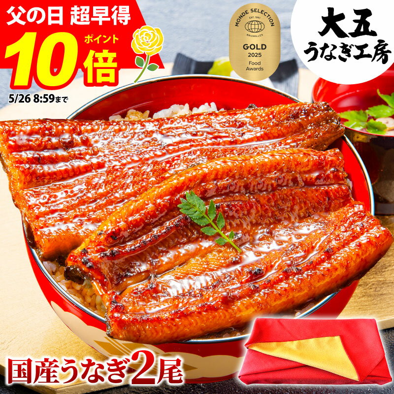 国産うなぎ長蒲焼2尾セット｜父の日ギフトに最適、ふっくら香ばしい